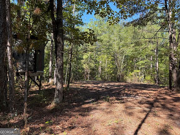 2nd image of 0 Pig Rd