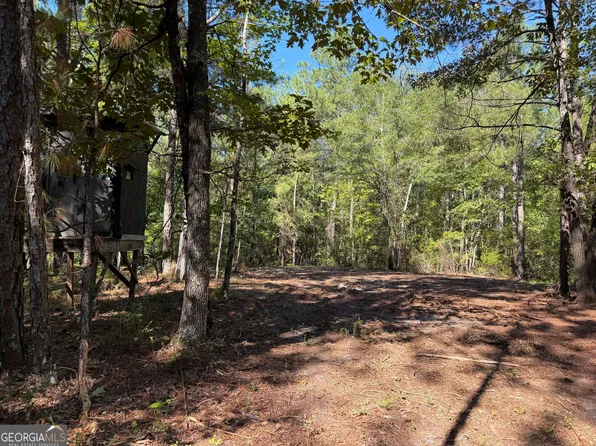 0 Pig Rd, Bartow, GA 30413