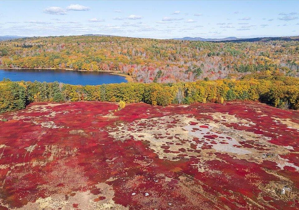 1st image of 1443 Old Augusta Road