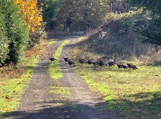 39647 N Ruby Loop, Scio, OR 97374