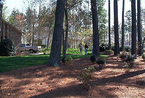 we now have decorative curbing around island (will update pic)