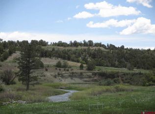 173 Cowboy Trl, Durango, CO 81303