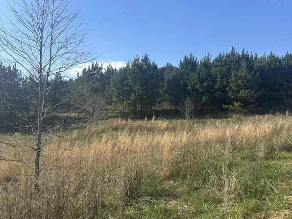 1 Obed Loop, Dadeville, AL 36853