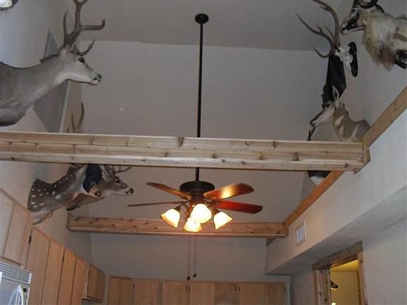 3rd image of 108 Hilldale Dr