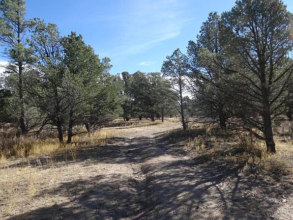 Road at Back of Property