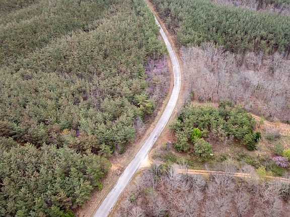 4th image of 8072 Old Hohenwald Rd