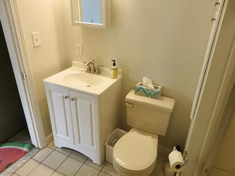 105 Plympton St #2 — Photo 15