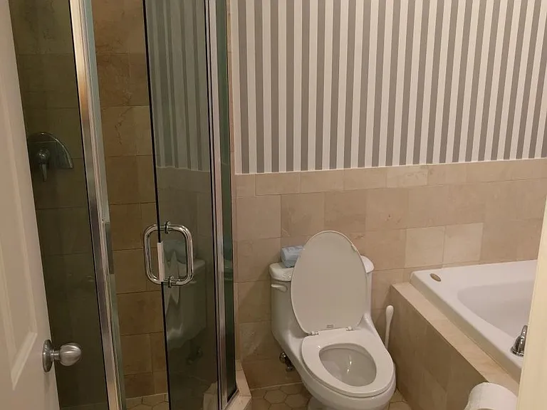 Master bathroom