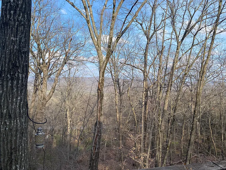10652 Fraker Mountain Rd — Photo 4