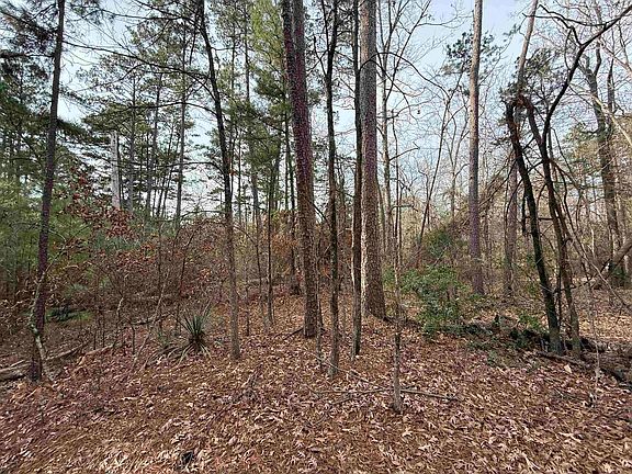 5th image of 0 Mercer Rd