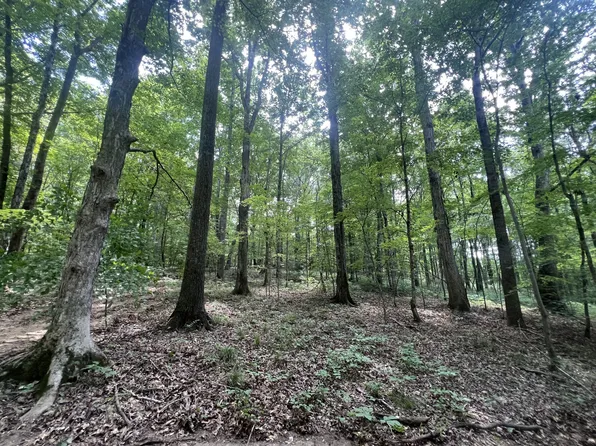 0 Highway 48 N, Charlotte, TN 37036