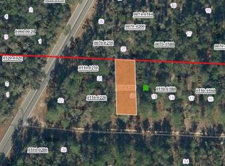 338 Portland St Lot 20, Hawthorne, FL 32640