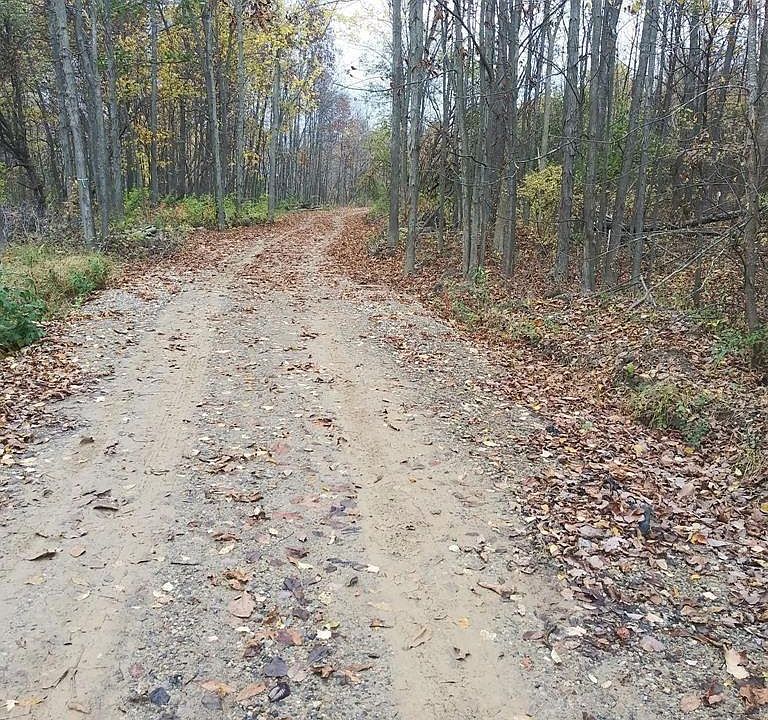 2nd image of 123 N Jerzine Rd