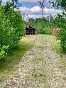 Thompson Forest Rd, Roseau, MN, 56751