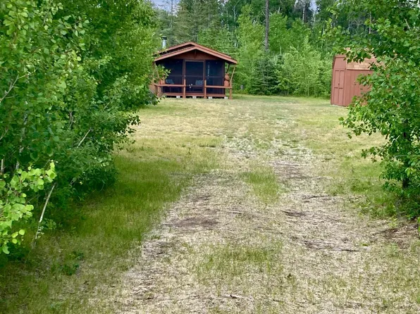 Thompson Forest Rd, Roseau, MN 56751