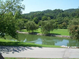 401 Mountain Thrush Dr, Townsend, TN 37882