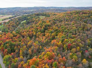 WP-001 Wilson Creek Rd, Newark Valley, NY 13736