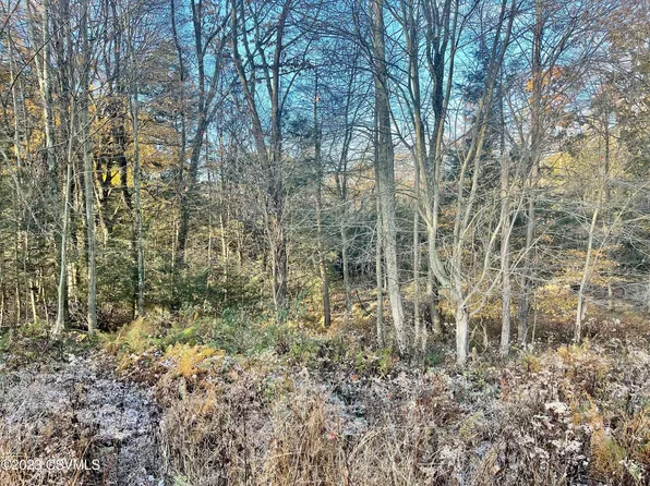 Shingle Run Rd, Millville, PA 17846