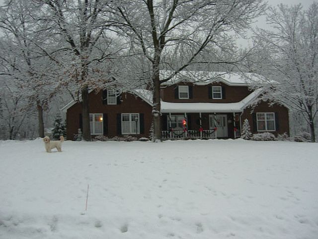 Winter Wonderland