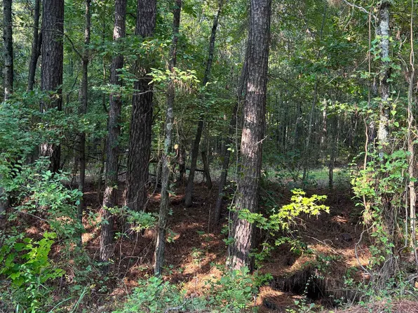 County Road 2592, Naples, TX 75568