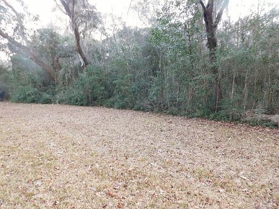 2nd image of LOT 4 Edisto Oak Ln
