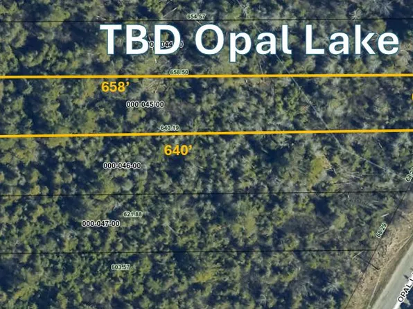 Opal Lake Rd, Gaylord, MI 49735