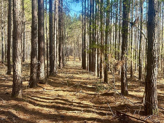 4th image of NULLK Grimes Rd