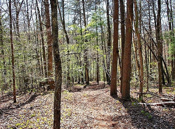 2nd image of 0 Fireside River Trce W Lot A-7