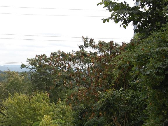 4th image of 0 Cloudcrest Dr #2