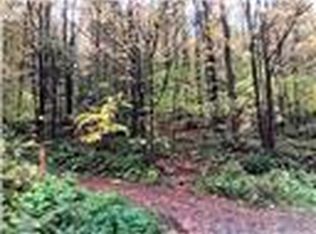 L100 Hollenbeck Rd, Worcester, NY 12197