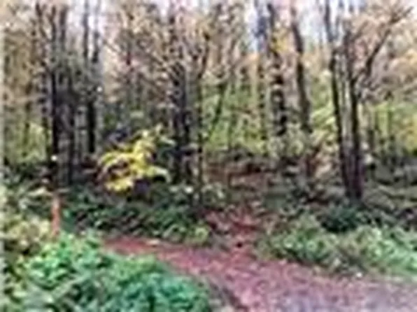 L1.00 Hollenbeck Road, Worcester, NY 12197