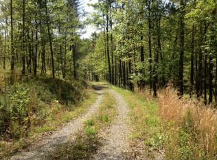 Cougar Ln, Ellijay, GA 30540