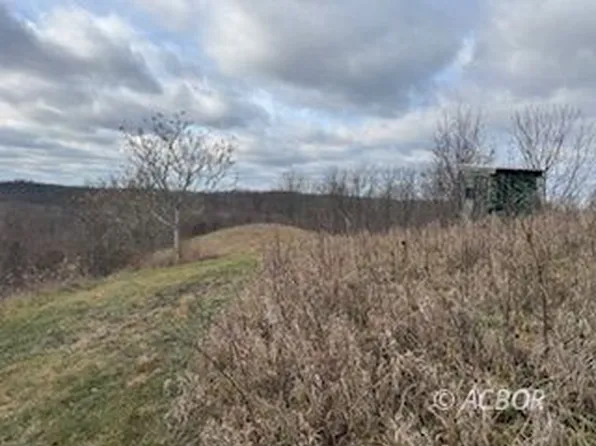 15750 Bryson Rd, Millfield, OH 45761