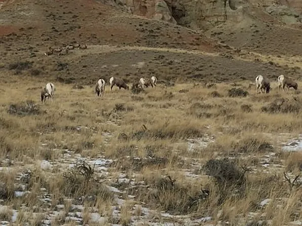 Table Mountain Ct #56, Dubois, WY 82513