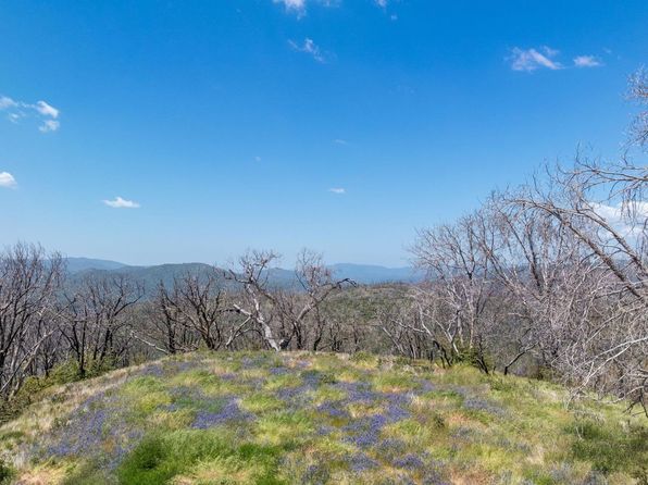39 Buckingham Mountain Rd, Mariposa, CA 95338