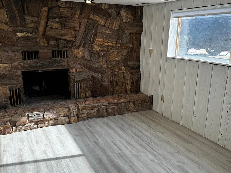 Downstairs Family Room