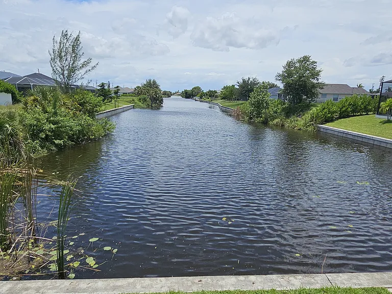Fresh water canal full of fish & turtles waiting to be fed