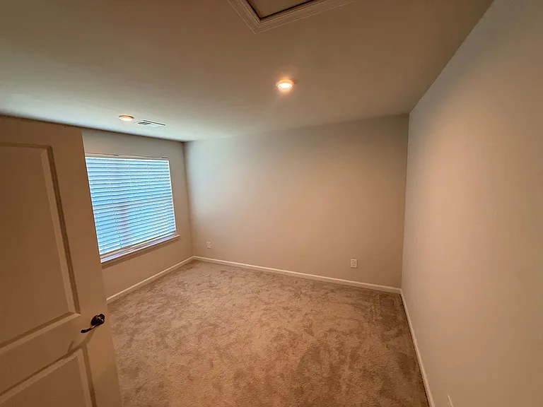 1209 Hinson Forest Rd — Photo 32