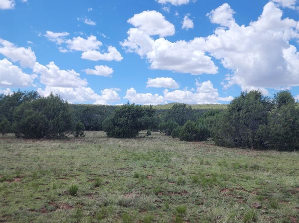 687A W Medicine Man Trl, Seligman, AZ 86337