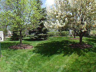 2nd image of 807 N Mulligan Ct