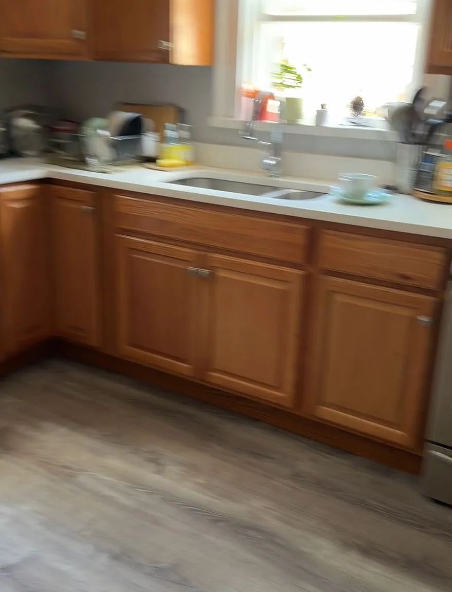 1 bed, $800 — Photo 2