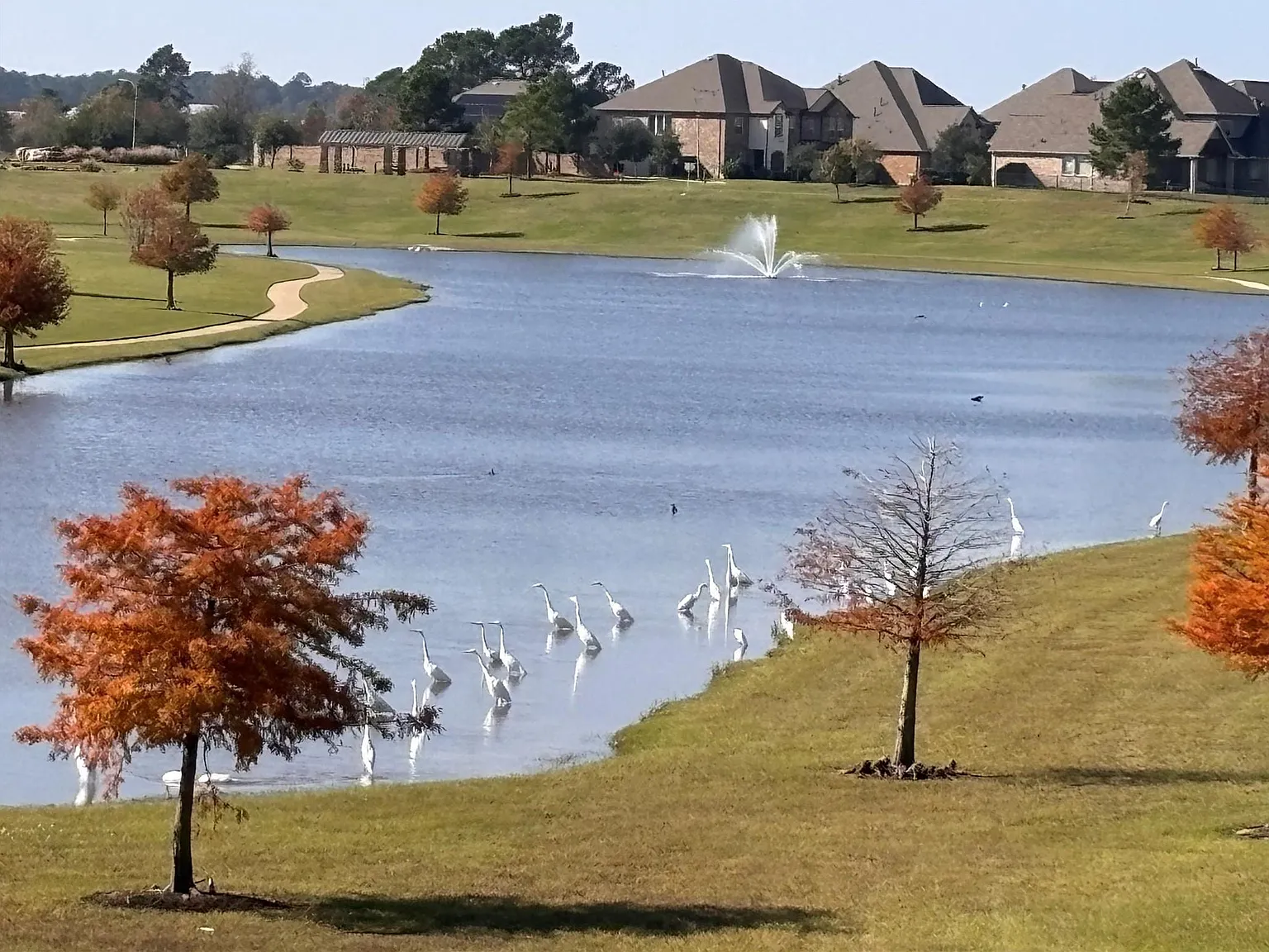 4 bed, 3.5 bath, 3644 sqft, $3,575 — Photo 2