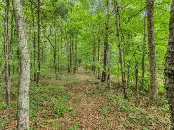 0 Eli Rd Lot 4, Bon Aqua, TN 37025