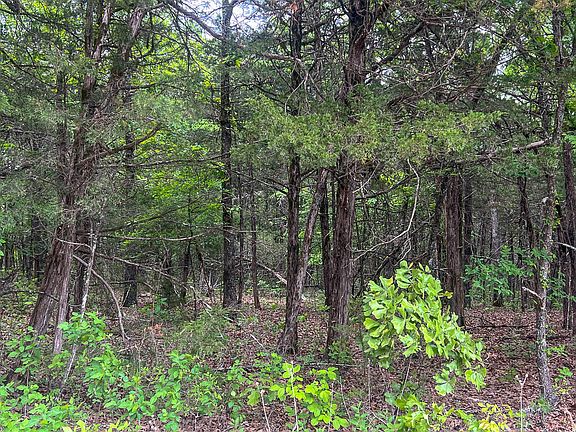 3rd image of Tbd 000 County Road 656