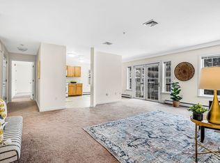 34 Meeting House Ln APT 305, Stow, MA 01775