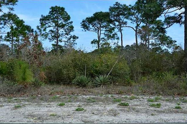 1st image of 128 Anhinga Trail St