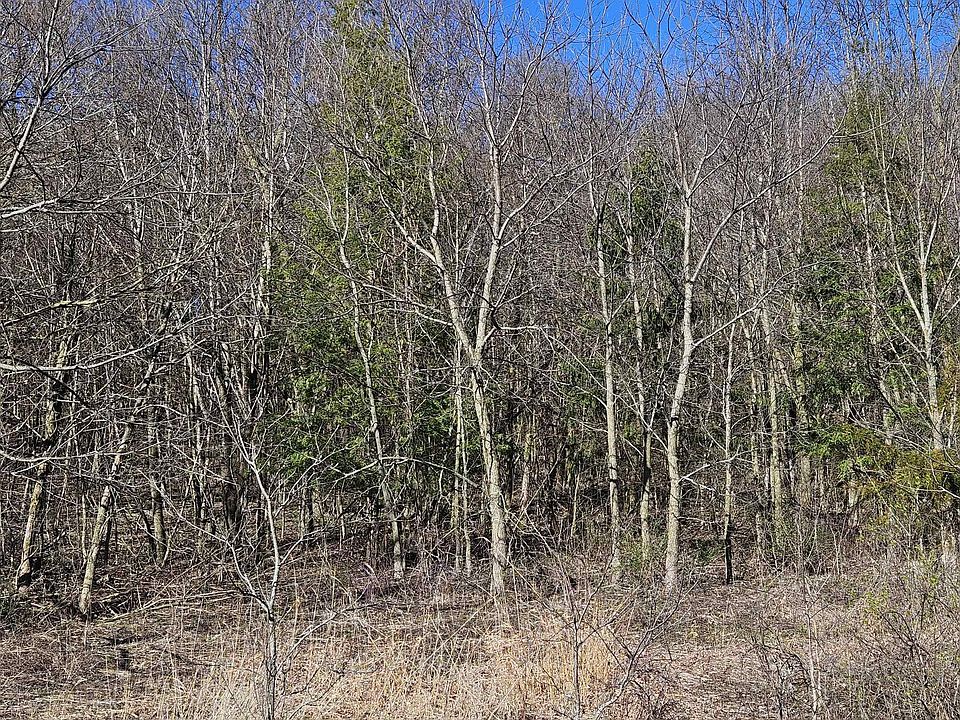 2nd image of 113 Cogan Dr