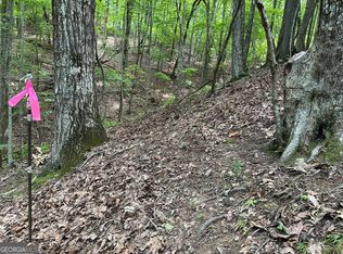 13 Pickelsimer Mountain Ln, Morganton, GA 30560