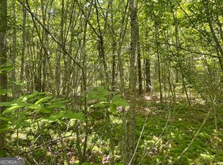 72 Mauk Rd, Buchanan, GA 30113