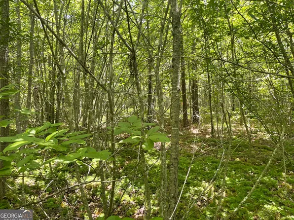 72 Mauk Rd, Buchanan, GA 30113